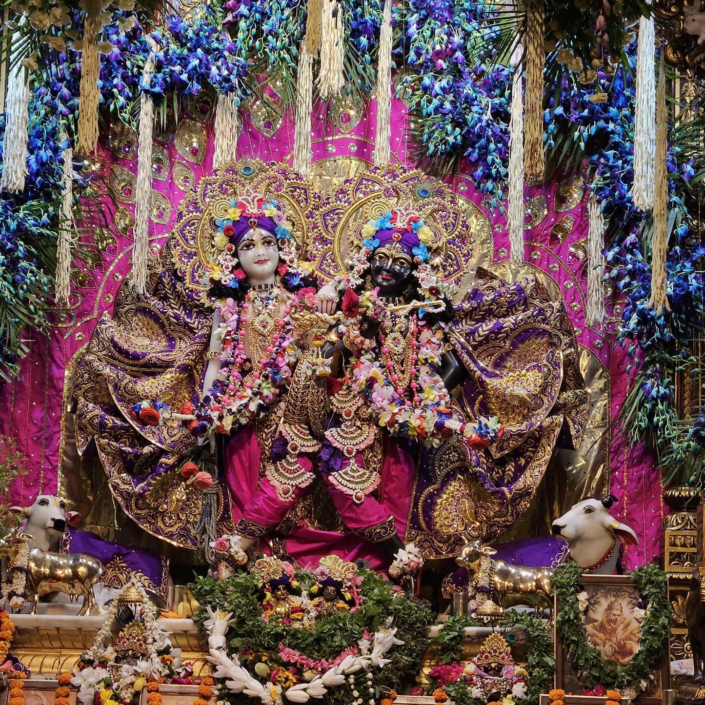 Divya Raas Purple Laddu Gopal Poshak - Devaya